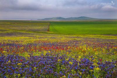 Прикрепленное изображение: IMG_4506.jpg